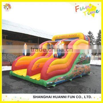 Various PVC Customized Inflatable Bouncer Slide: Dry Bouncy Slide and Wet Water Slide photo-3