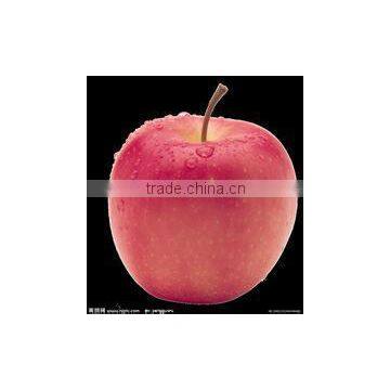 High quality red Fuji apple