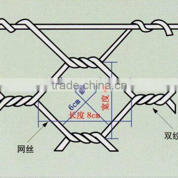 Anping Nuojia Hexagonal wire mesh(factory price)