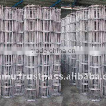 Welded Steel Wire Mesh in Roll