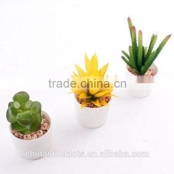 fake plant succulent plants with plot