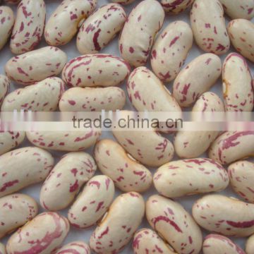 yian kidney beans