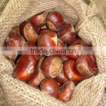 Sweet Chestnut Wholesales Price Shandong Crop and Dandong Crop photo-2