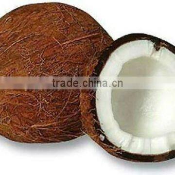 Semi-Husked Fresh Matured Coconut