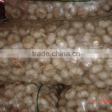 YUYUAN Brand Hot Sail Fresh Garlic Black Garlic Pill