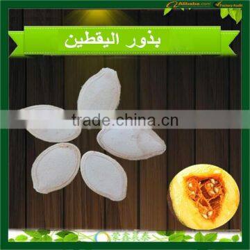 New Crop Hot Chinese Shine Skin Pumpkin Seeds , Benefits of Pumpkin Seed photo-2