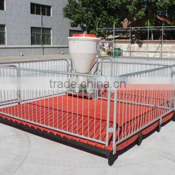 Poultry Feed Processing Equipment Stainless Steel Pigs Stall Nursery Crates