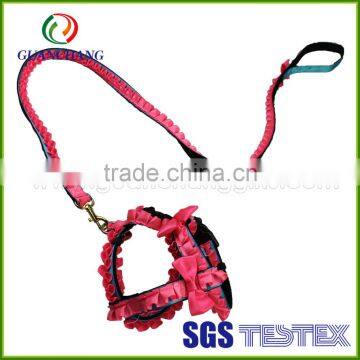 2014 New Products Dog Leash and Collar on Market photo-5