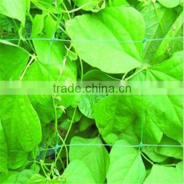 Melon Support Netting Fruit Support Netting