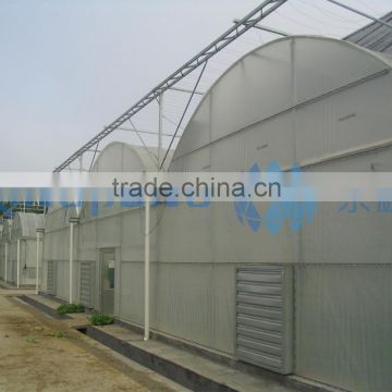 Plastic Greenhouse For Agriculture (ISO9001:2000)