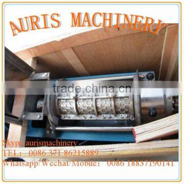 China Supplier New Design Fruit Juice Extractor on Sale photo-2