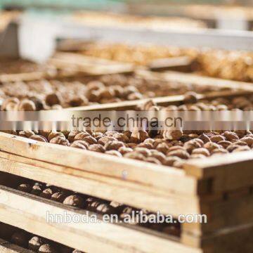 Nut Dehydrator photo-2