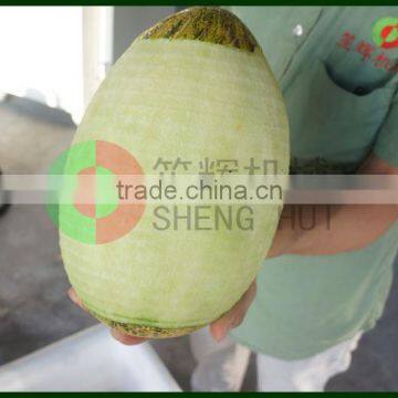 Stainess Steel Automatic Pawpaw Peeling Machine High Speed Watermelon Peeler Shenghui Pumpkin Peeling Machine photo-6