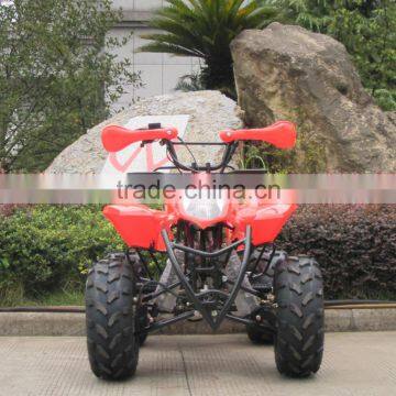 (JLA-07-05) Gasoline Mini Atv 50cc Mini Quad Atv for Kids photo-5