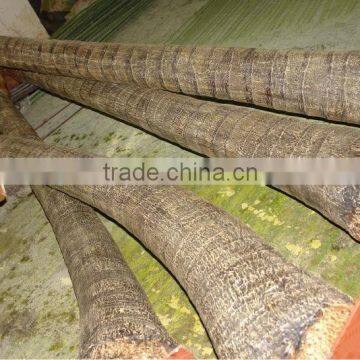 Wind Resistance UV Proof Artificial Royal Palm Tree in High Quality photo-4