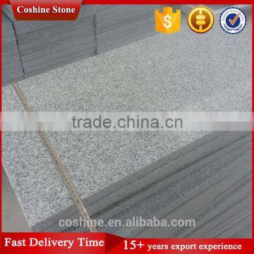 First Chioce Off White Grigio Cristallo HB G603 Granite Tiles 60*40 photo-2
