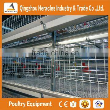 Shandong High Quality Trade Assurance Poultry Equipment Layer Chicken Cage for Sale photo-5