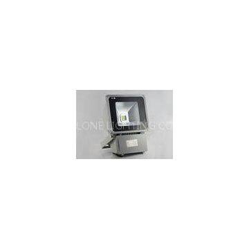 IP65 LED Flood light 70w 4000K , LED Landscaping Lights AC85 - 265V Meanwell driver