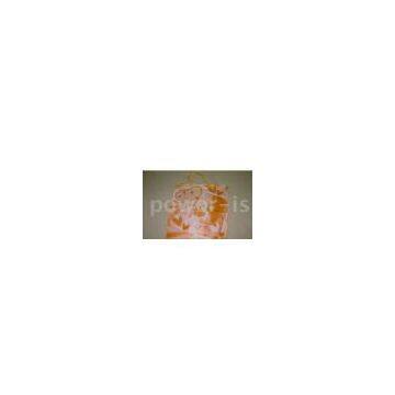 Non-woven Shopping Bag