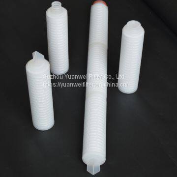 Wide Chemical & Thermal Compatibility Integrity tested PES Filter Cartridge