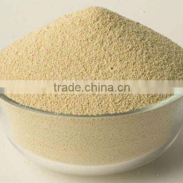 Soybean Meal