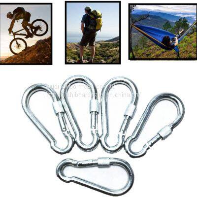 304/316 Stainless Steel Carabiner Hook With Lock Nut photo-4
