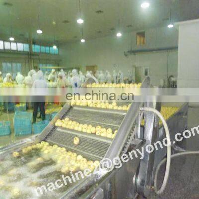 CHINA Professional Fruit Juice Production Line Mango Orange Processing Line Processing Vegetable Juice photo-4
