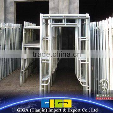 GIGA china scaffolding details scaffolding sales                        
                                                Quality Choice