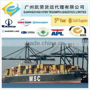 Sea shipping container (DDU DDP) from China to Charleston