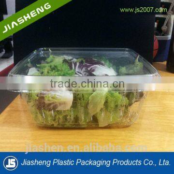 disposable take away plastic salad bowl food container for pinic