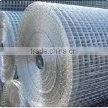 Hebei China Glavanized welded netting (factory)