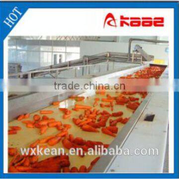 large capacity plastic chain plate conveyor manufactured in wuxi Kaae