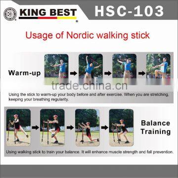 KING BEST Outdoor Sports Walking Stick 3-SECTION Nordic Walking Sticks Adjustable Nordic Walking Stick Elderly Walking Stick photo-4