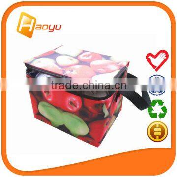 Promotional high quality polyester bag cooler from China supplier