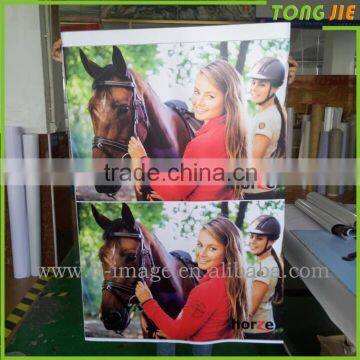 High Quality Vinyl Graphic Sticker Decal Design photo-6