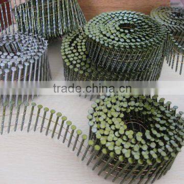 Common Nails / Roofing Nails / Coil Nail ( MANUFACTURER ) photo-5
