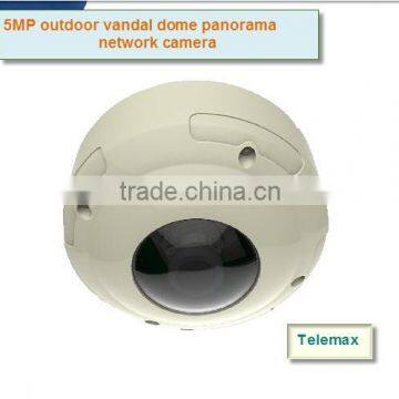 5 MP Outdoor Vandal Dome Panorama Network Camera