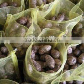 New Crop Fresh Taro With High Quality