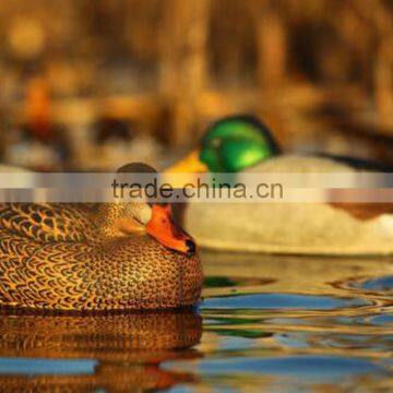 mallard drake complete greenhead flocking hunting duck decoy