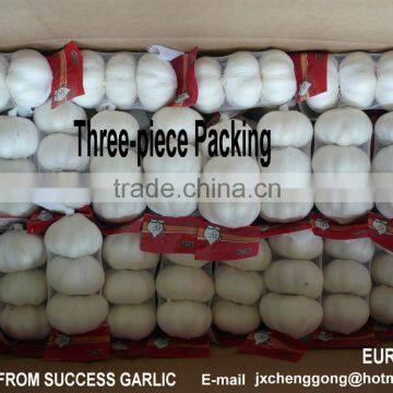 Shandong New Garlic Price of Sale photo-5