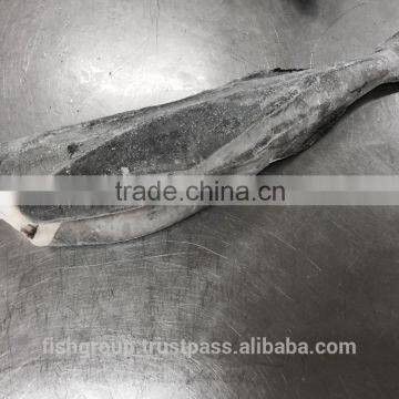 Frozen Black Cod HG photo-4