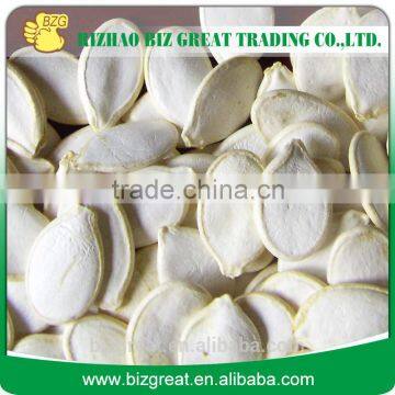 New Crop of Snow white pumpkin seeds With Various Sizes