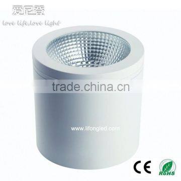 high brightness 3000lm CREE2530 high Ra90 30W COB LED Surface Mounted Downlight