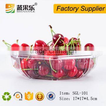 Promotional Transparent Plastic Pet Tray photo-3