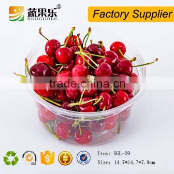 Hot Sell Disposable Cheap Plastic Salad Bowl photo-3