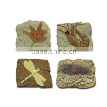 Fossil Photo Frame Dig Kit, 4 Assorted, 12pcs per Display. photo-4