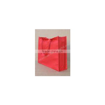 Professional PP Non Woven Bag / Non-Woven Bag / Non Woven Shopping bag