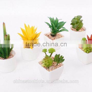 Fake Plant Succulent Plants With Plot photo-4