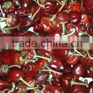 Round Red Chilli photo-4