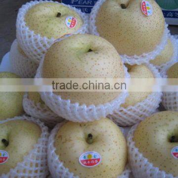 Fresh pear exporter in China